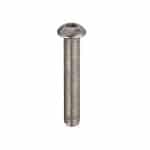 M10 x 40 St/St Socket Button Screw A2